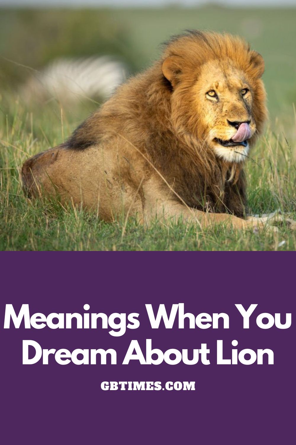 What Does It Mean When a Lion Appears In Your Dream?